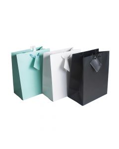 Medium Gift Bag Solid Assorted ea