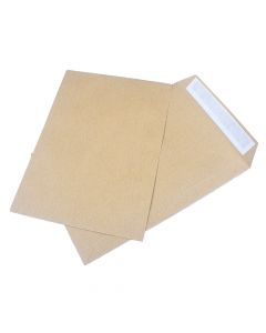 Envelope  10 in x 7 in  (250 x 176) Peel & Stick Manilla