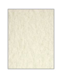 HNR Paper  Astroparche Letter Size  Natural  175gsm ea-pk/100