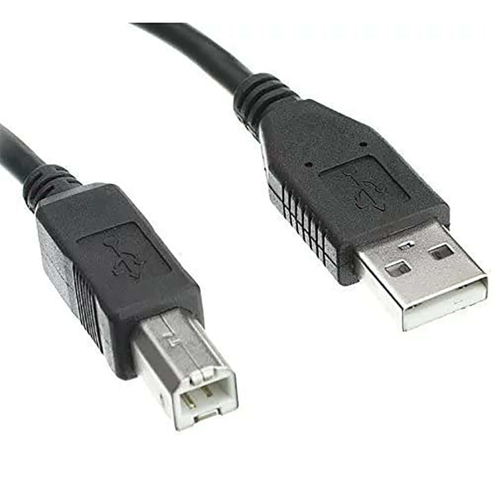 ArgomTech Printer Cable  USB 2.0 AM/BM 6ft   A00012