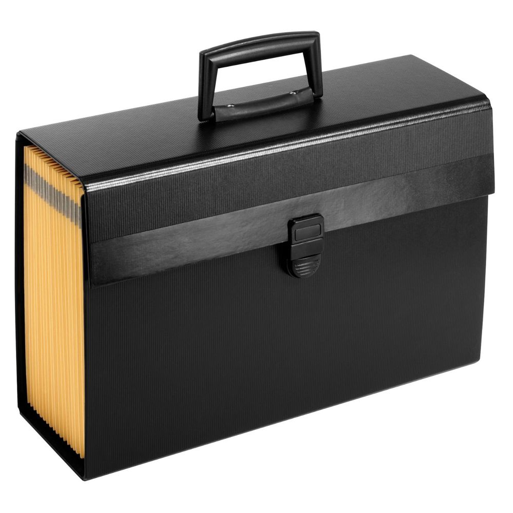 Pendaflex Expanding Portafile Organiser     P200E